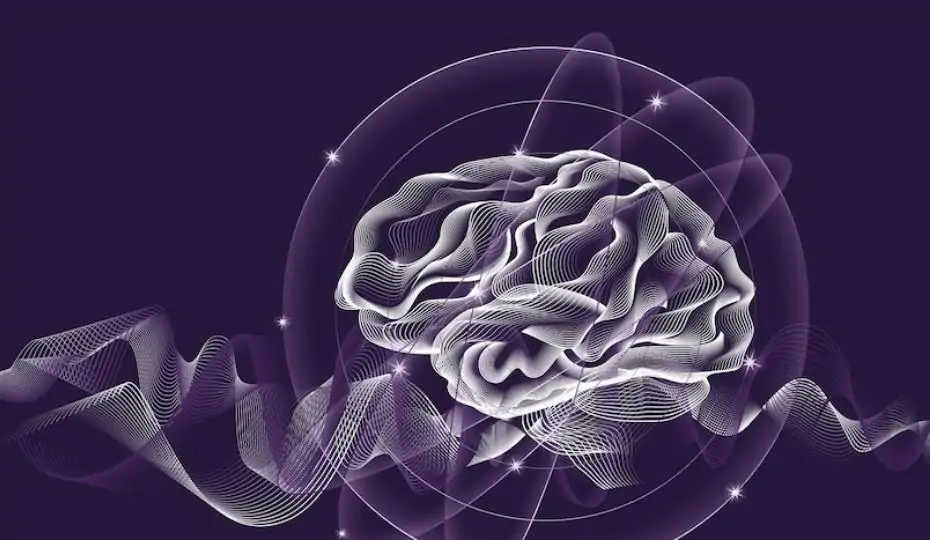 The Neuroscience of Peak Productivity